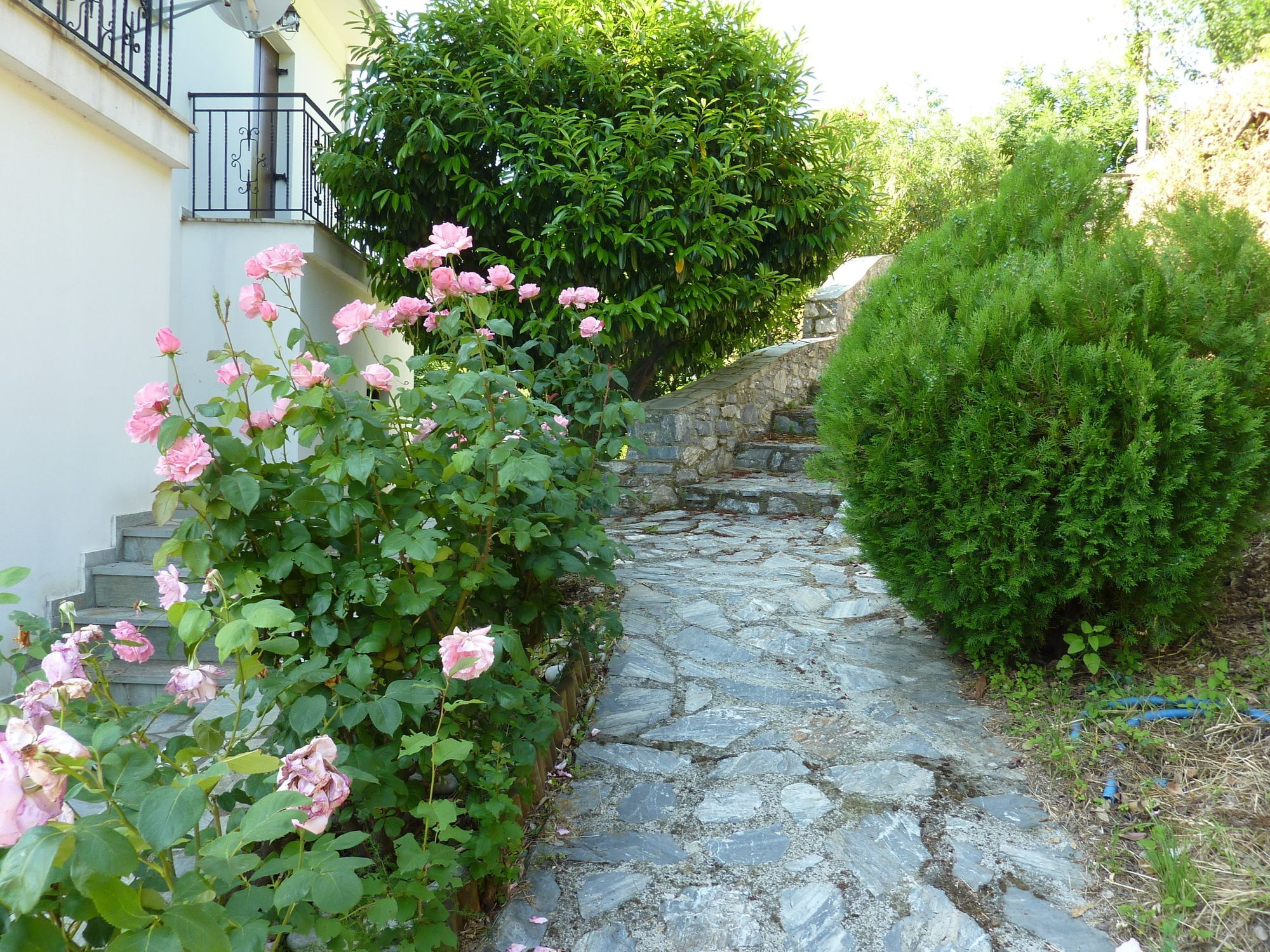 Villa Thea Makrirrakhi Экстерьер фото
